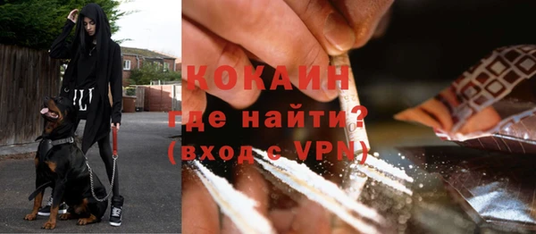хмурый Лиски