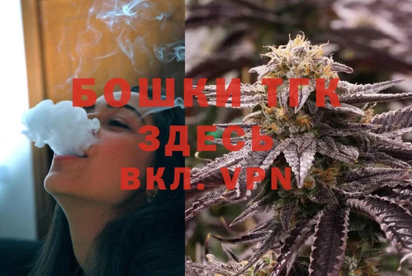 хмурый Лиски