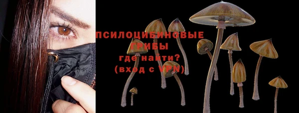 ГАЛЛЮЦИНОГЕННЫЕ ГРИБЫ Липки