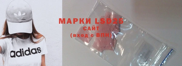ГАЛЛЮЦИНОГЕННЫЕ ГРИБЫ Липки