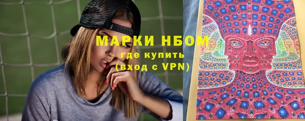 ГАЛЛЮЦИНОГЕННЫЕ ГРИБЫ Липки