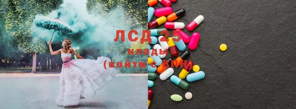 ГАЛЛЮЦИНОГЕННЫЕ ГРИБЫ Липки