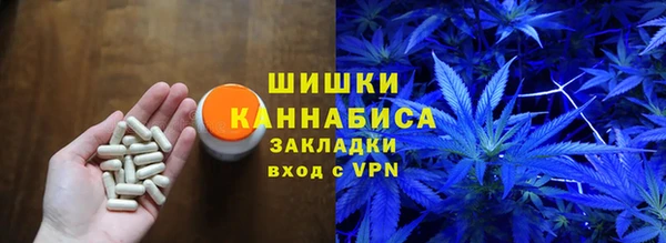 ГАЛЛЮЦИНОГЕННЫЕ ГРИБЫ Липки