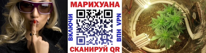 Шишки марихуана THC 21%  Шенкурск 